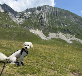 Big Trip 2026 – Durmitor