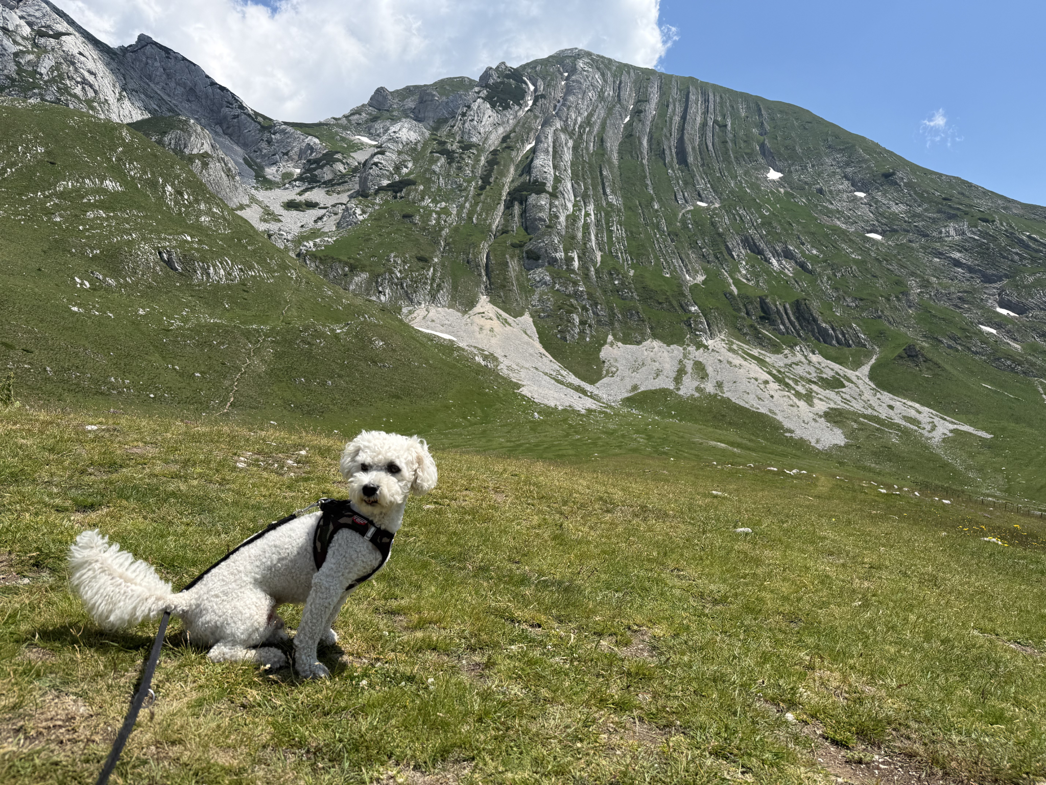 Big Trip 2026 – Durmitor