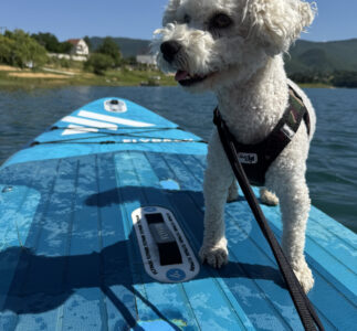 Big Trip 2026 – Ramsko Jezero