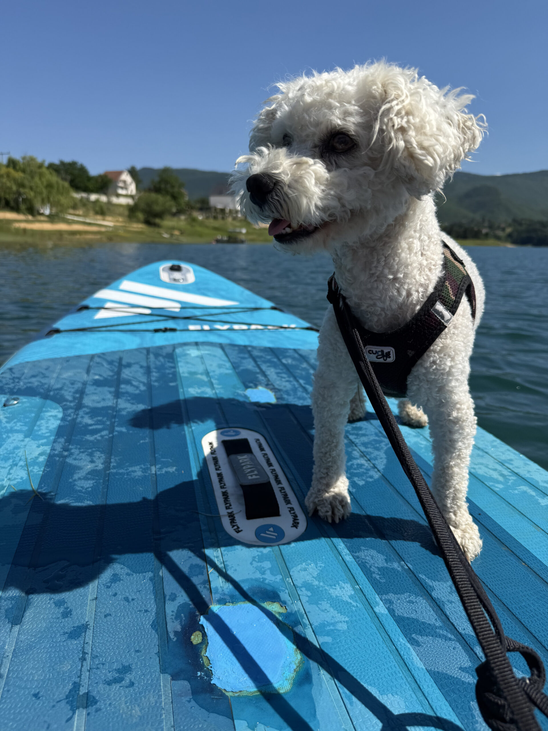 Big Trip 2026 – Ramsko Jezero